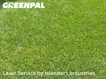 Grass Cutting nearby Baton Rouge, LA, 
