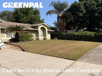 Lawn Mowing Servicein Ocoee,34761,Lawn Cut by Alvarez Lawn Company, work completed in Jun , 2026