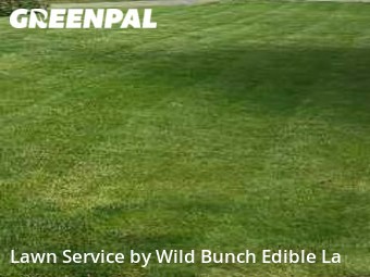 Lawn Maintenance nearby Lacey, WA, 