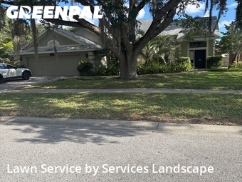 Yard Mowingin Orlando,32825,Lawn Service by Services Landscape, work completed in Jun , 2026