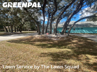 Lawn Cutting nearby Spring Hill, FL, 