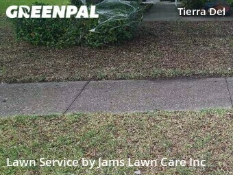 Grass Cutting nearby Land O' Lakes, FL, 