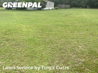 Yard Cutting nearby Valdosta, GA, 