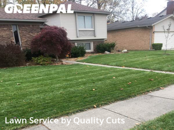 Grass Cut nearby Sterling Heights, MI, 