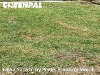 Grass Cut nearby Goodlettsvlle, TN, 