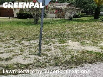 Lawn Cut nearby Spring Hill, FL, 