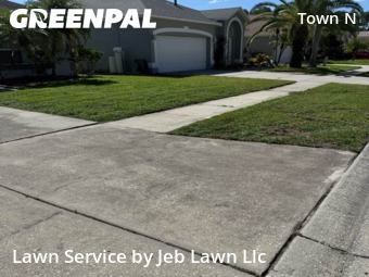 Grass Cut nearby Tampa, FL, 