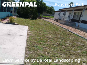 Lawn Cut nearby Hudson, FL, 