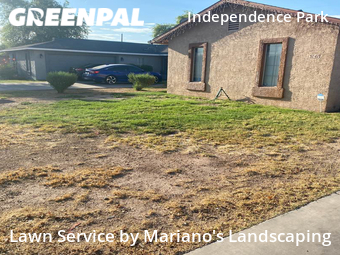 Grass Cutting nearby Phoenix, AZ, 