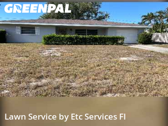 Lawn Care Servicein Largo,33770,Lawn Mow by Etc Services Fl, work completed in Dec , 2025