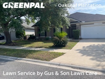 Lawn Cut nearby Orange Park, FL, 