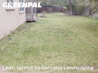 Lawn mowed in Sparks, 89434