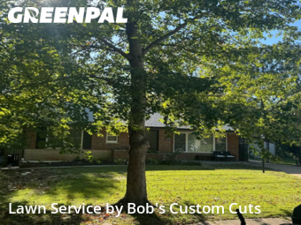 Grass Cutting nearby University City, MO, 