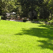 local-lawn-cutting-services-in-Greenfield-WI