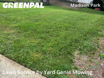 Lawn Cut nearby Charlotte, NC, 
