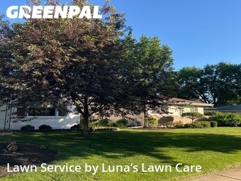 Lawn Cutin Aurora,60506,Grass Cut by Luna’s Lawn Care , work completed in Jun , 2026