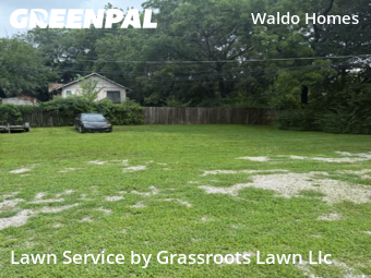 Grass Cutting nearby Kansas City, KS, 