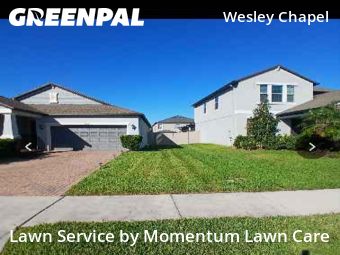 Yard Mowingin Wesley Chapel,33543,Yard Mowing by Momentum Lawn Care, work completed in Nov , 2025