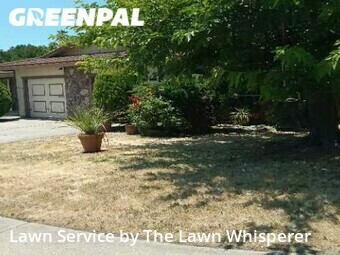 Lawn Cut nearby Sacramento, CA, 