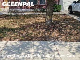 Lawn Cut nearby San Antonio, TX, 