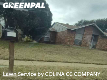 Yard Mowingin Dallas,75249,Lawn Mow by COLINA CC COMPANY, work completed in Jan , 2026
