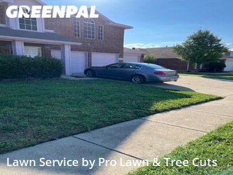 Lawn Mowing Service nearby Arlington, TX, 