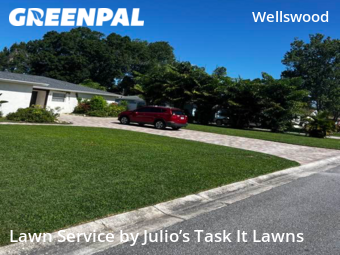 Lawn Cut nearby Tampa, FL, 