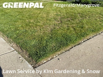Lawn Mow nearby Detroit, MI, 