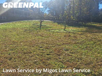 Lawn Maintenancein Marietta,30062,Lawn Mowing by Migos Lawn Service, work completed in Nov , 2025