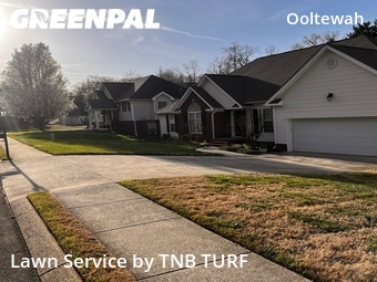 Lawn Mow nearby Ooltewah, TN, 