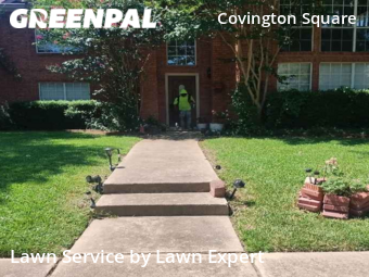 Grass Cut nearby Plano, TX, 