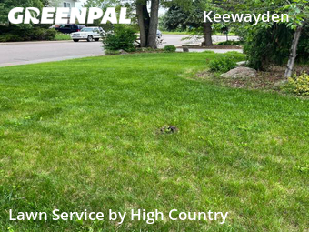 Yard Mowing nearby Boulder, CO, 