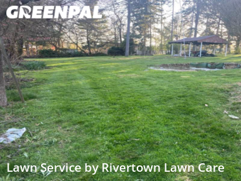 Lawn Cut nearby Pittsburgh, PA, 
