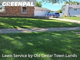 Yard Mowing nearby Naperville, IL, 