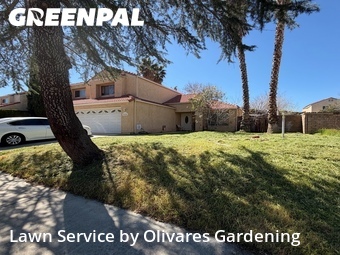 Work completed by affordable-grass-cutting-businesses-in-Palmdale-CA