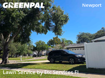 Grass Cuttingin Clearwater,33764,Lawn Care by Etc Services Fl, work completed in Dec , 2025