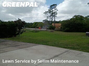 Grass Cut nearby St. Augustine, FL, 