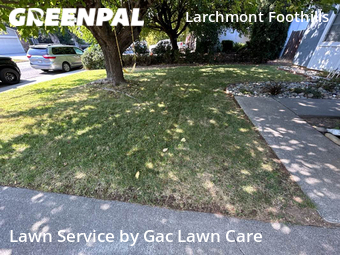 Lawn Mow nearby Sacramento, CA, 