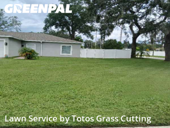 Lawn Cuttingin Ocoee,34761,Lawn Service by Totos Grass Cutting, work completed in Jan , 2026