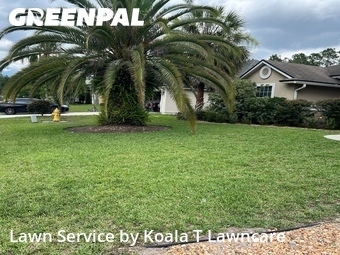 Lawn Mow nearby Jacksonville, FL, 