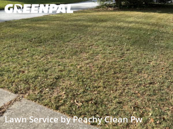 Yard Cutting nearby Hiram, GA, 