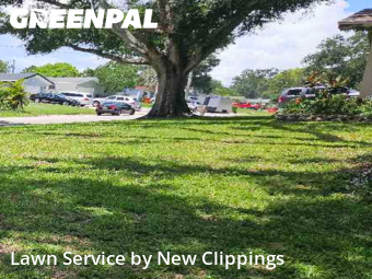 Yard Mowing nearby Clearwater, FL, 
