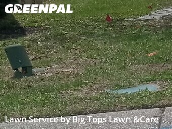 Yard Mowingin Altamonte Springs,32714,Grass Cutting by Big Tops Lawn &Care, work completed in Jun , 2026