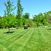 grass-cutting-businesses-in-Doylestown-PA