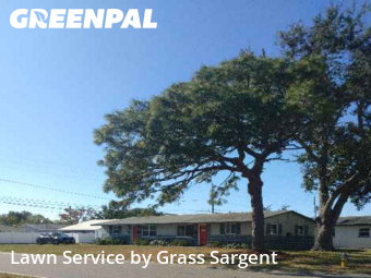 Landscaper In St. Petersburg,33702,Landscaping Installation by Grass Sargent, work completed in Jan , 2026