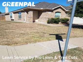 Grass Cut nearby Grand Prairie, TX, 