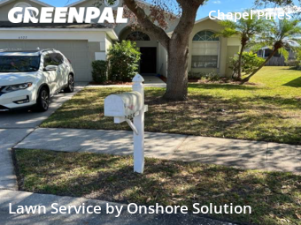 Grass Cutting nearby Wesley Chapel, FL, 