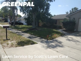 Lawn Cut nearby Palm Harbor, FL, 
