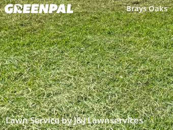 Lawn Mow nearby Houston, TX, 