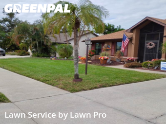 Turf Services in Venice, 34292, Yard Maintenance by Lawn Pro, work completed in Nov , 2025